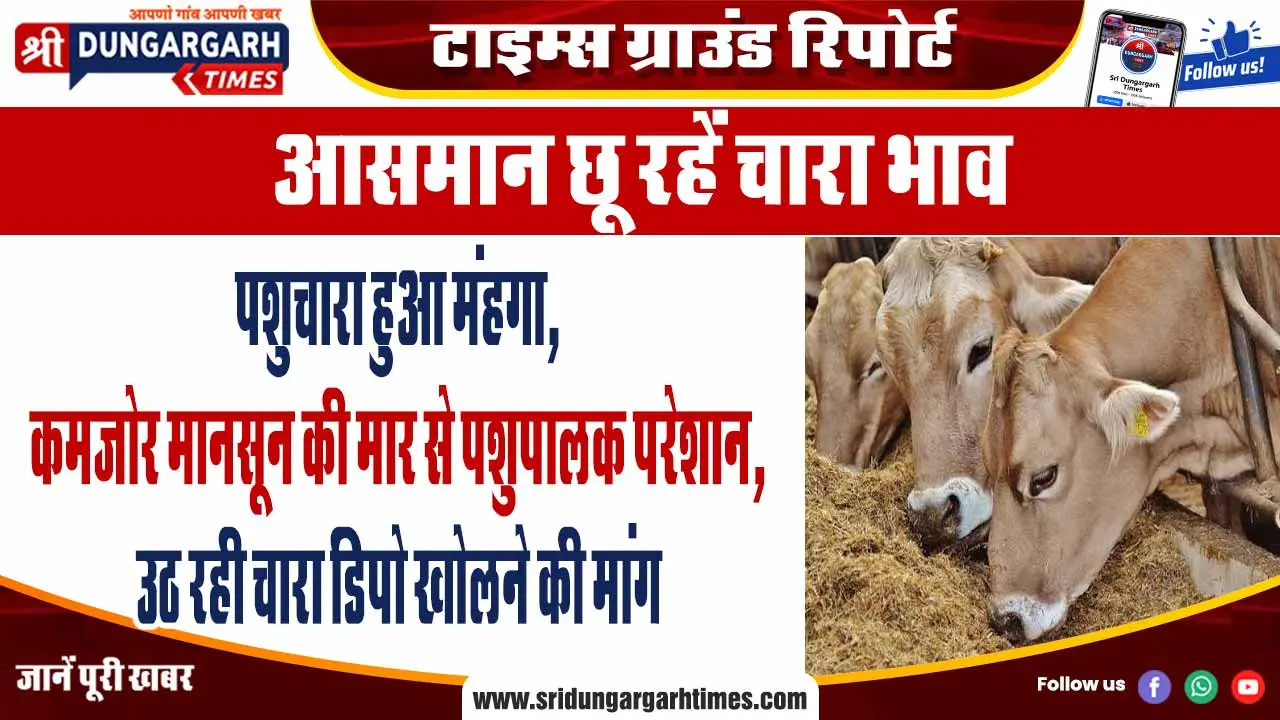 पशुचारा हुआ मंहगा, कमजोर मानसून की मार से पशुपालक परेशान, उठ रही चारा डिपो खोलने की मांग