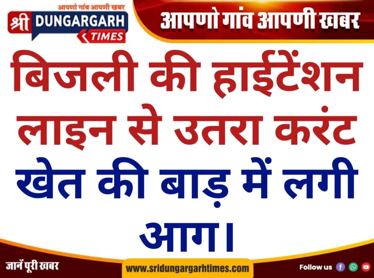 बिजली की हाईटेंशन लाइन से उतरा करंट, खेत की बाड़ में लगी आग।
