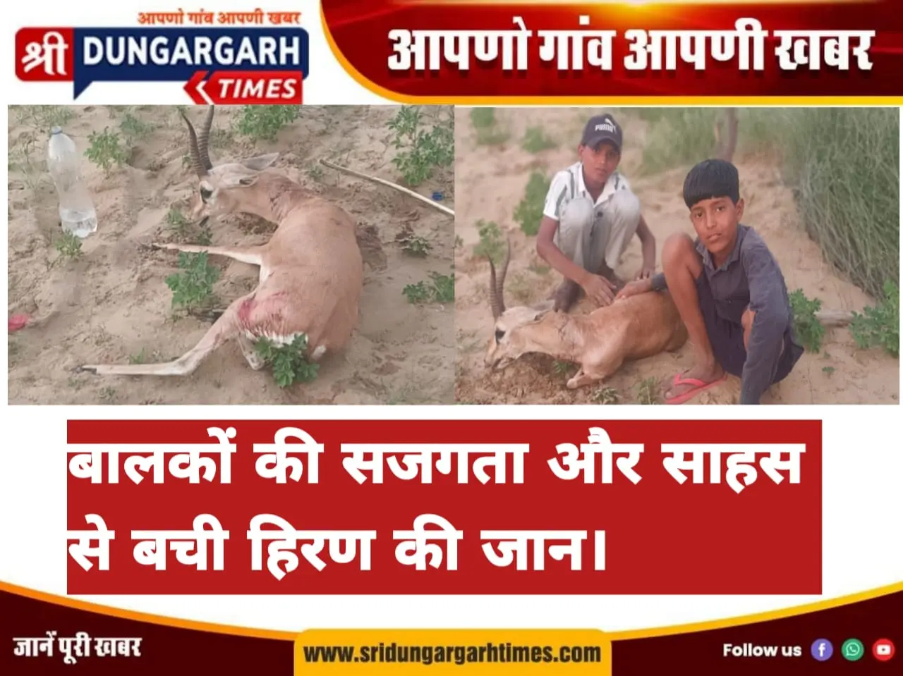 कुत्तों से बचते समय तारबंदी में फंसा हिरण, तीन बालकों ने दिखाई सूझबूझ