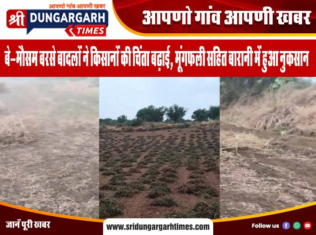 बे-मौसम बरसे बादलों ने किसानों की चिंता बढ़ाई, मूंगफली सहित बारानी में हुआ नुकसान