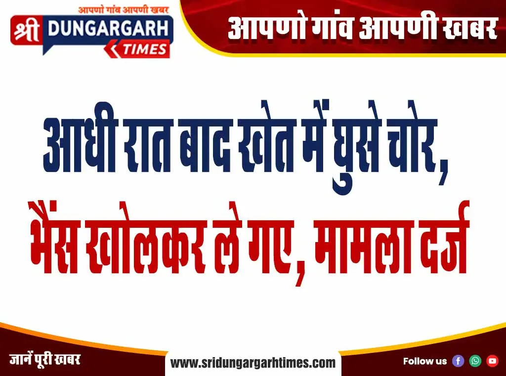 आधी रात बाद खेत में घुसे चोर, भैंस खोलकर ले गए, मामला दर्ज