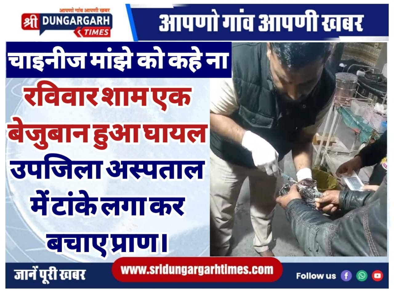 WhatsApp Image 2025-01-12 at 18.45.55