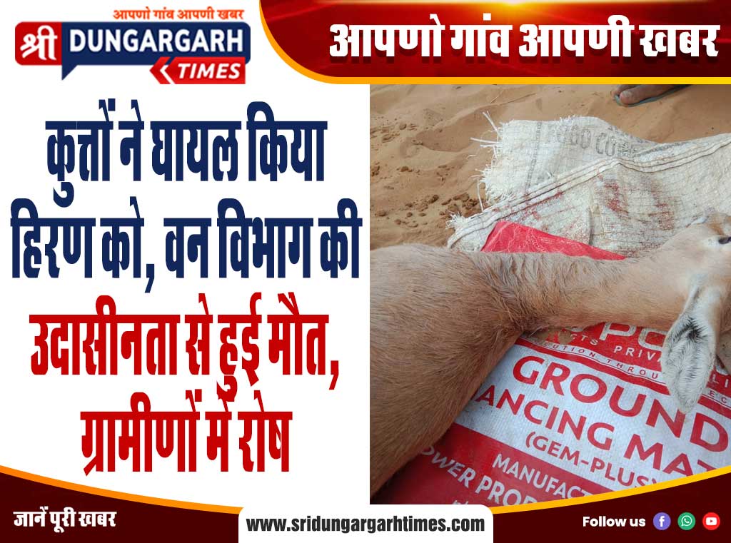 0000000000000000000000000