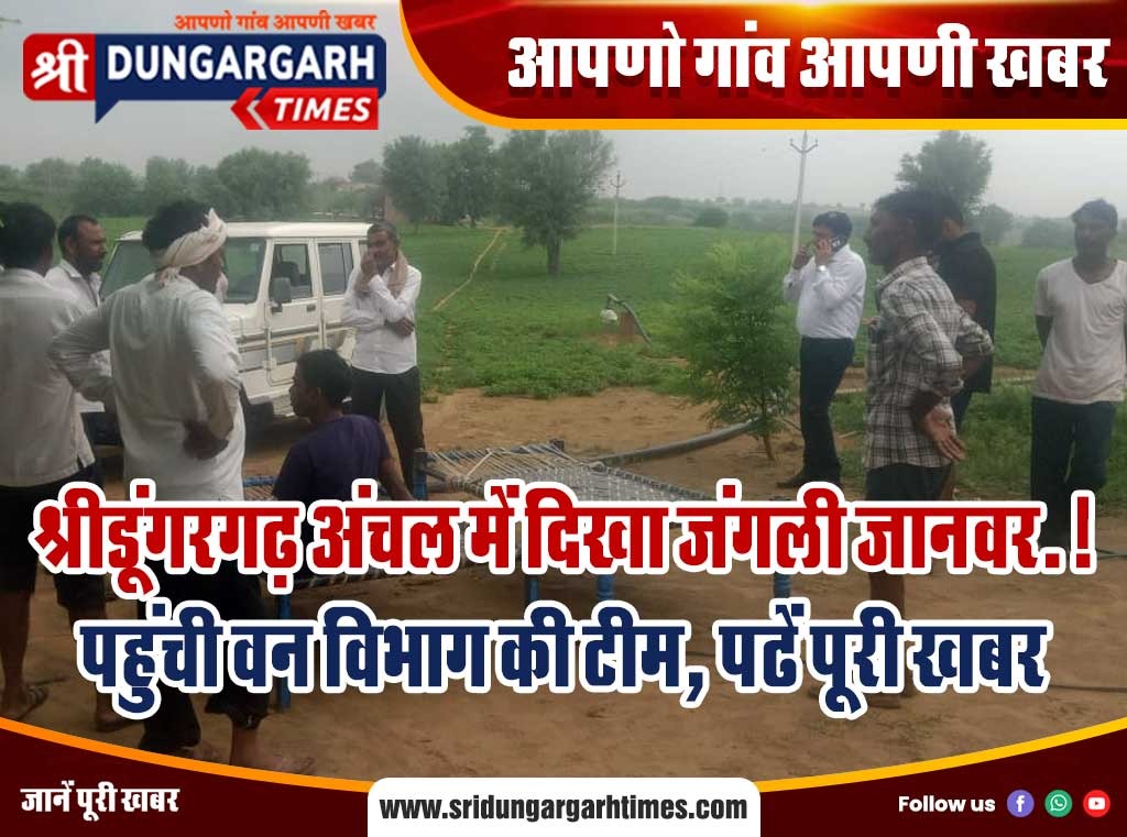 WhatsApp Image 2025-07-15 at 19.24.04
