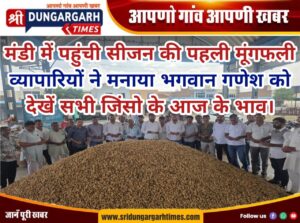WhatsApp Image 2026-09-14 at 19.55.14
